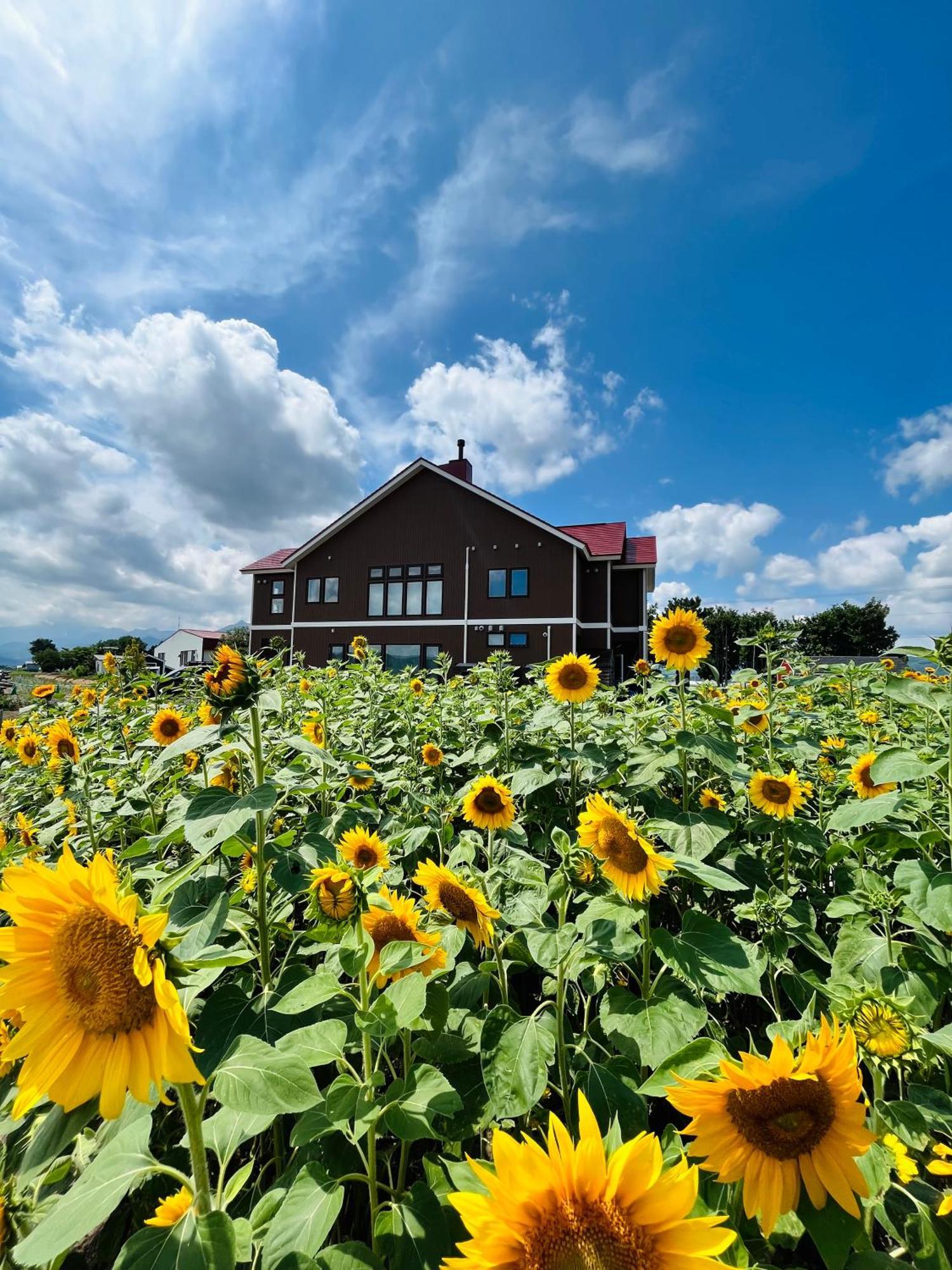 Shooting Star The Bed & Breakfast Furano Ngoại thất bức ảnh